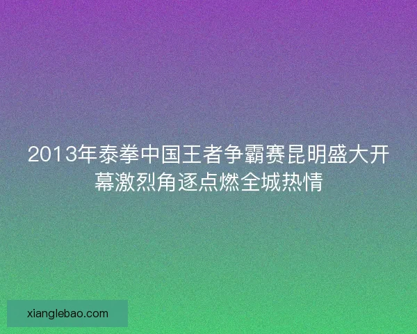 2013年泰拳中国王者争霸赛昆明盛大开幕激烈角逐点燃全城热情