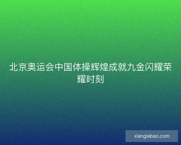 北京奥运会中国体操辉煌成就九金闪耀荣耀时刻