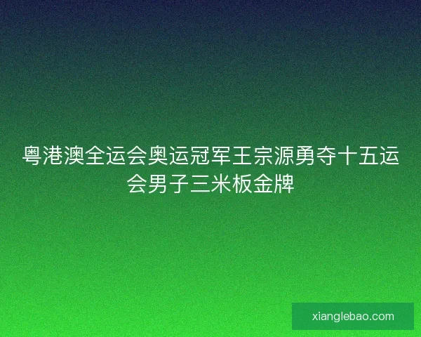 粤港澳全运会奥运冠军王宗源勇夺十五运会男子三米板金牌